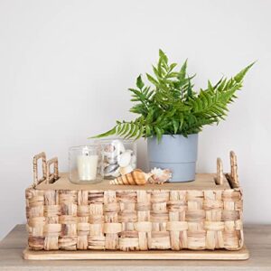 Household Essentials, Natural Stackable Hyacinth Baskets with Oak Lids, Set of 2