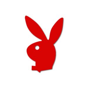 Bunny Tanning Stickers 50 Pack Spray Tanning, Mobile Airbrush, Tanning Salon, Laying Outdoors, Quality Body Decals That Measure Your Tanning Progress