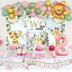 Fiesec Two Wild Birthday Decorations Girl, Jungle Safari Animal Theme 2nd Party Decorations Backdrop Balloons Banner Cake Cupcake Topper Poster Crown Lion Cheetah Giraffe Pink 119 PCs