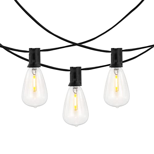 Safavieh Lighting Collection Dorcia Black 10-Foot LED Outdoor String Lights