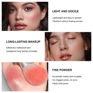 12 Colors Blush Palette,Highlighter Blush Powder Makeup,Long-Wearing,Smudge Proof,Natural-Looking,Blendable Cruelty-Free Matte Finish,Contour and Highlight Blush Palette Face Cosmetics Makeup