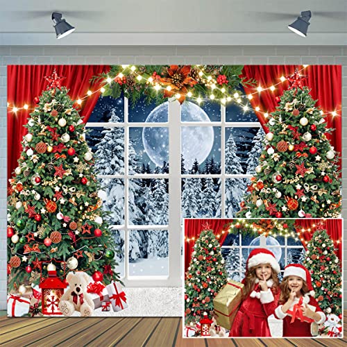 CYLYH 7x5ft Winter Snow Scene Backdrop for Photography - New Year's and Christmas Party Photo Background (D806)