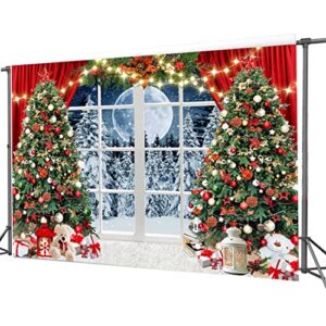 CYLYH 7x5ft Winter Snow Scene Backdrop for Photography - New Year's and Christmas Party Photo Background (D806)