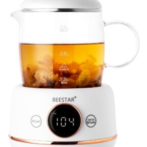 BEESTAR Small Electric Kettle with Automatic Heat Preservation,Glass Portable Kettle Temperature Control,6 Preset Programs,High Borosilicate Glass,0.6 Liter Capacity for Your Office or Kitchen