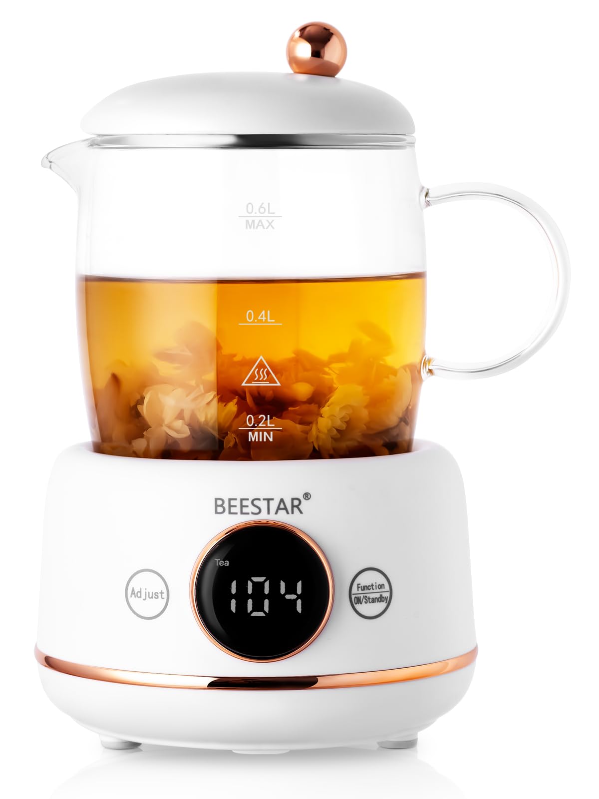 BEESTAR Small Electric Kettle with Automatic Heat Preservation,Glass Portable Kettle Temperature Control,6 Preset Programs,High Borosilicate Glass,0.6 Liter Capacity for Your Office or Kitchen