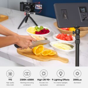 SmallRig P200 Led Video Light Panel (P200 Kit)