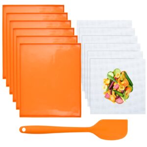 aemygo 6 pcs silicone dehydrator sheets with edge, reusable mesh dehydrator mats with scraper, non-stick fruit leather trays, square food dryer mat dehydrator sheets for liquid meat vegetables herbs