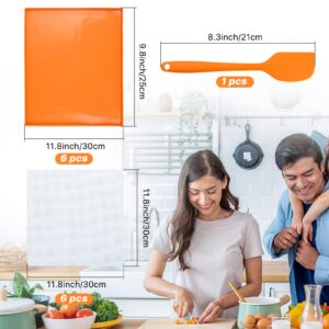 Aemygo 6 Pcs Silicone Dehydrator Sheets with Edge, Reusable Mesh Dehydrator Mats with Scraper, Non-Stick Fruit Leather Trays, Square Food Dryer Mat Dehydrator Sheets For Liquid Meat Vegetables Herbs