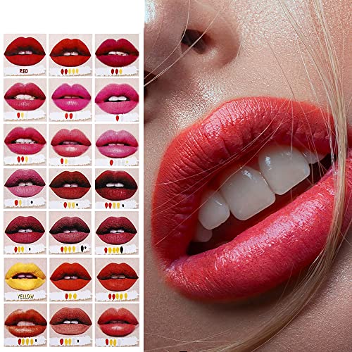 MEICOLY DIY Liquid Lipstick Set,5pcs Black White Blue Yellow Red Lip Stain,Matte 24-Hour Long Lasting Nude Lip Gloss Set,Velvet Black Lipstick Kit for Women labial mate larga duracion 24