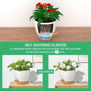 ZMTECH 8 Inch Hanging Planters for Indoor Outdoor Plants, 2 Pack Self Watering Hanging Plant Pots with Drainage Holes and Removable Saucer, Plastic Flower Hanging Pots with Watering Lip (White)