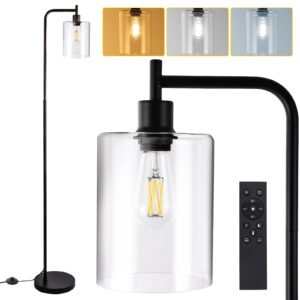 litake industrial floor lamp, dimmable modern standing lamp with clear glass shade, black tall lamp with remote & foot control, led bright corner lamp with 6w bulb for living room bedroom office