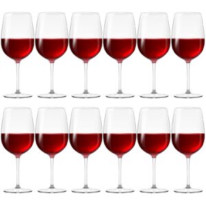 purpeak set of 12 plastic wine glasses with stem unbreakable wine glasses reusable clear goblet wine glasses for drinking, pool, travel, camping or picnic supplies (goblet)