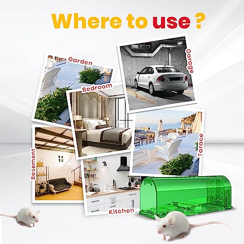 Utopia Home Humane Mouse Traps Indoor for Home (Pack of 2) - Green Reusable Mice Traps for House Indoor - Pet Safe Mouse Trap Easy to Set, Quick, Effective, & Safe Rodent Trap