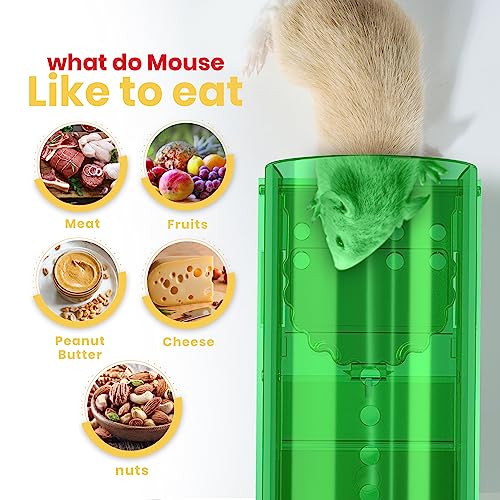 Utopia Home Humane Mouse Traps Indoor for Home (Pack of 2) - Green Reusable Mice Traps for House Indoor - Pet Safe Mouse Trap Easy to Set, Quick, Effective, & Safe Rodent Trap