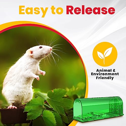 Utopia Home Humane Mouse Traps Indoor for Home (Pack of 2) - Green Reusable Mice Traps for House Indoor - Pet Safe Mouse Trap Easy to Set, Quick, Effective, & Safe Rodent Trap