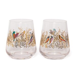 spode sara miller london chelsea tumblers | set of 2 | 14 oz stemless glasses for ros, red, or white wine | colorful birds design | handwash only