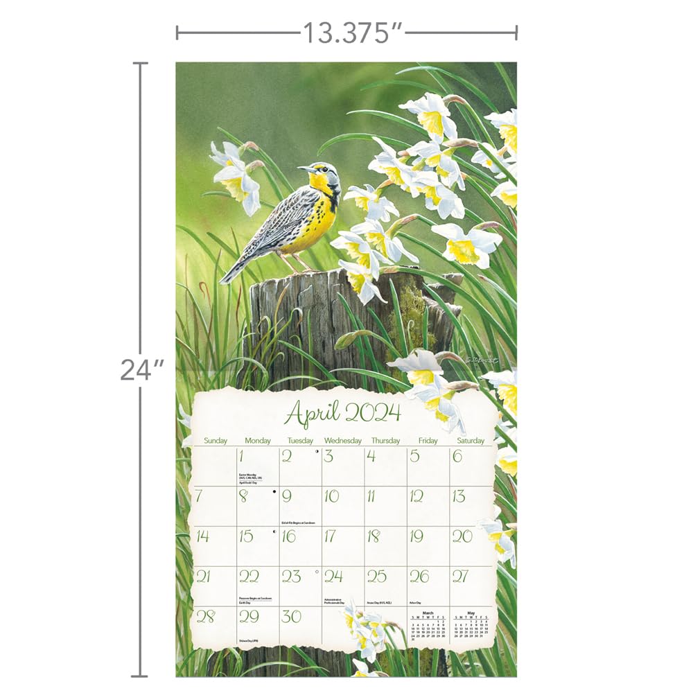 LANG Songbirds™ 2024 Wall Calendar (24991001880) Multi