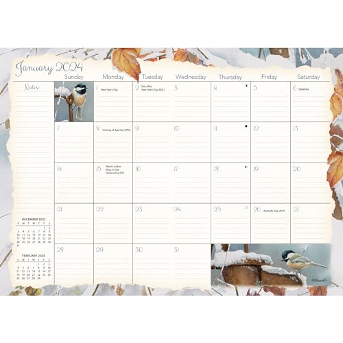 LANG Songbirds™ 2024 Monthly Pocket Planner (24991003167)