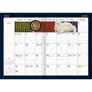 LANG American Cat 2024 Monthly Planner (24991012094)