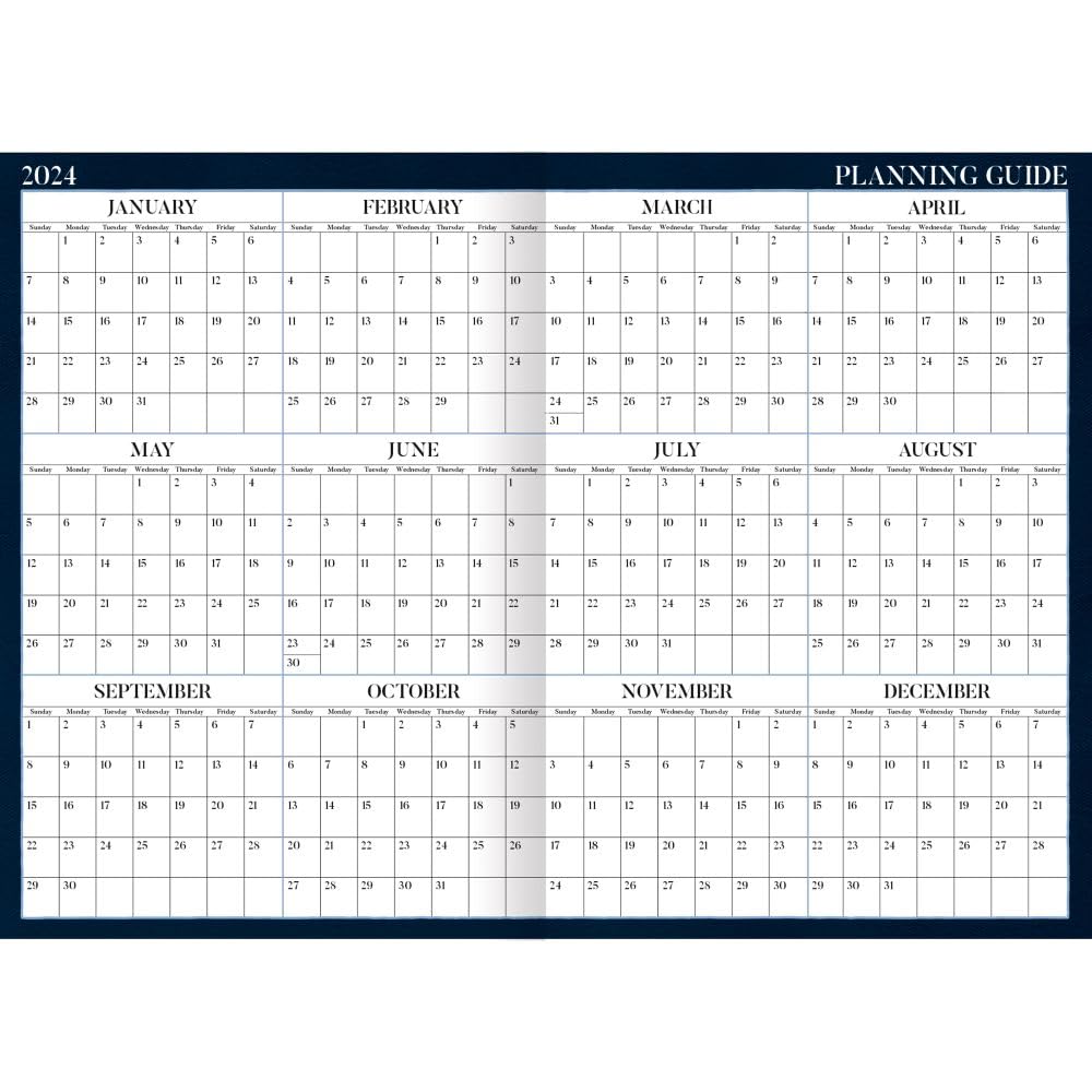 LANG American Cat 2024 Monthly Planner (24991012094)