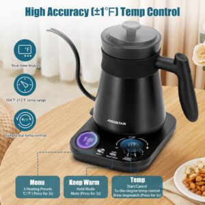 Aigostar Electric Gooseneck Kettle Temperature Control, 1200W Quick Heating Pour Over Kettle and Tea Kettle for Coffee Tea, 5 Variable Presets, Keep Warm & Stopwatch, Stainless Steel Inner, 0.8L