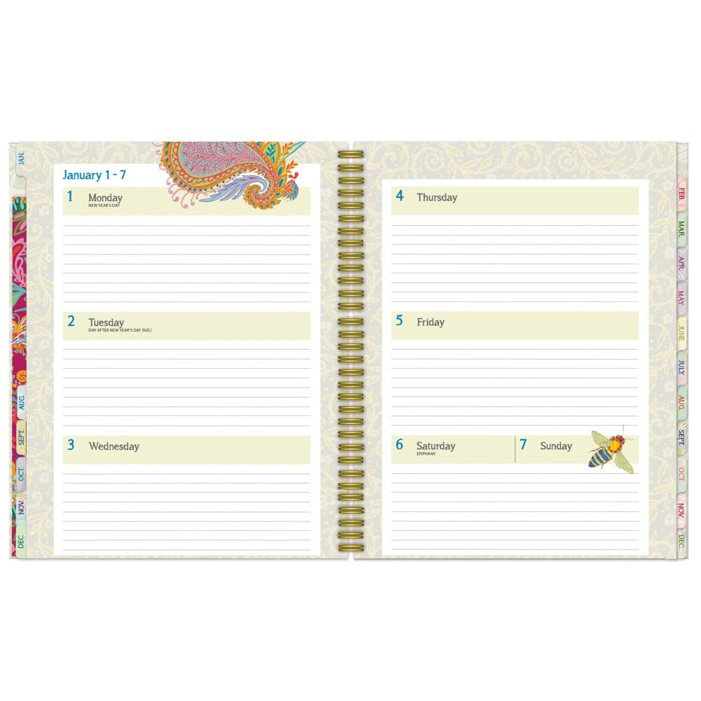 WSBL Ladybird 2024 Deluxe Planner (24997061026)