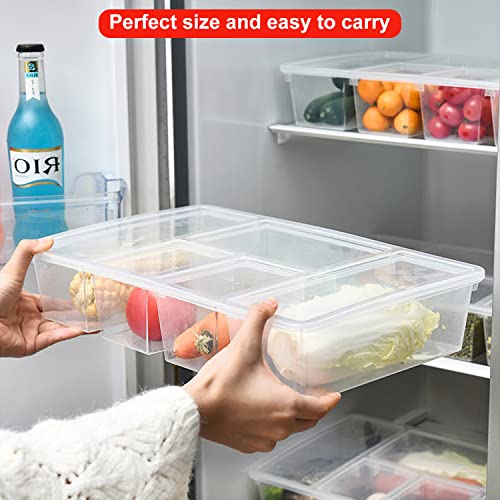 Taiuloo 2 Pack Divided Veggie Tray with Lid, 5 Compartment Snackle Box Container for Fridge, Clear Refrigerator Organizer Bins Plastic Food Storage Containers for Snack, Fruit, Vegetable, Salad, Meat