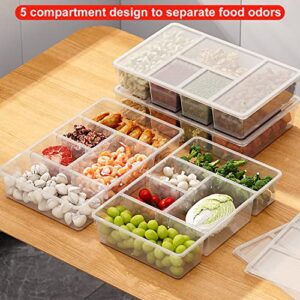 Taiuloo 2 Pack Divided Veggie Tray with Lid, 5 Compartment Snackle Box Container for Fridge, Clear Refrigerator Organizer Bins Plastic Food Storage Containers for Snack, Fruit, Vegetable, Salad, Meat