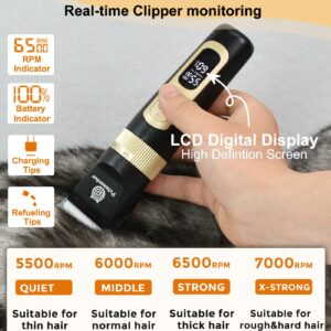 Petsaunter Dog Clippers for Grooming Kit, 4-Speed & LCD, Low Noise Electric Dog Trimmer for Grooming, Cordless Rechargeable Dog Hair Clippers, Quiet for Dogs & Pets with Thick or Heavy Coats(C95 Set)