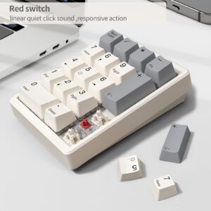 Kisnt Number Pad, Mechanical Numpad Wired USB Standard 17 Keys Numeric Keypad with PBT Keycaps White Backlit Keypad for Laptop PC TKL Keyboards (Red Switch)