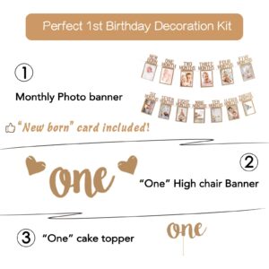 1st Birthday Photo Banner Baby Birthday Decorations Monthly Milestone Photograph Bunting Garland with First Birthday Cake Topper 1st birthday High Chair Banner 1st Birthday Decorations