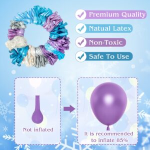 Amandir 162PCS Snow Birthday Party Supplies, Snow Balloon Garland Arch Kit Fringe Curtain Blue Purple Snowflake Foil Balloons Princess Winter Wonderland Girl Baby Froze Party Decorations