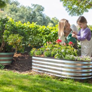 Galvanized Raised Garden Beds Outdoor // 4×2×1 ft Planter Raised Beds for Gardening, Vegetables, Flowers // Large Metal Garden Box (Silver) // Patent Pending Tool-Free Assembly