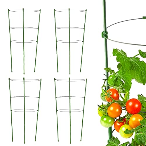 Tomato Cage Plant Support Cage for Garden 8 Pack, 18 Inch Tomato Trellis Garden Cages with 3 Adjustable Rings, Tomato Plant Stakes for Climbing Plants, Flowers, Fruit, Vegetables