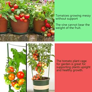 Tomato Cage Plant Support Cage for Garden 8 Pack, 18 Inch Tomato Trellis Garden Cages with 3 Adjustable Rings, Tomato Plant Stakes for Climbing Plants, Flowers, Fruit, Vegetables