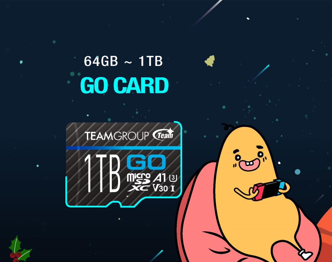 TEAMGROUP GO Card 512GB 2 Pack Micro SDXC UHS-I U3 V30 4K, R/W up to 100/90 MB/s for GoPro & Drone & Action Cameras High Speed Flash Memory Card with Adapter for 4K Shooting TGUSDX512GU364