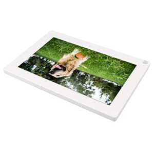 electronic photo frame, 100‑240v digital photo frame white human body induction image preview with bracket for bedroom (us plug)