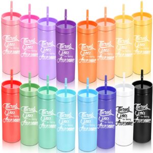 rtteri thank you gift for employee skinny plastic tumblers with lid and straw 16 oz colored acrylic tumblers thank you for being awesome cup for coworker men women appreciation gift (16 pcs)