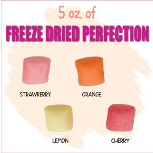 Freeze Dried Fruit Bursts Candy - Mini Original Hard Candy Mix 5oz Treat Snack Gift Bag Cherry, Strawberry, Lemon, Orange Candies Freeze-Dried Candies