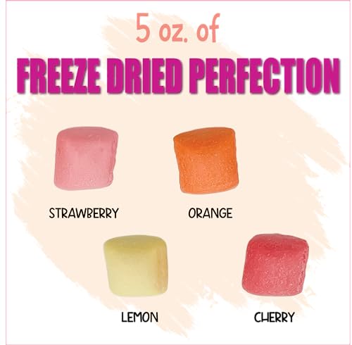 Freeze Dried Fruit Bursts Candy - Mini Original Hard Candy Mix 5oz Treat Snack Gift Bag Cherry, Strawberry, Lemon, Orange Candies Freeze-Dried Candies
