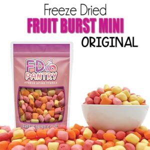 Freeze Dried Fruit Bursts Candy - Mini Original Hard Candy Mix 5oz Treat Snack Gift Bag Cherry, Strawberry, Lemon, Orange Candies Freeze-Dried Candies