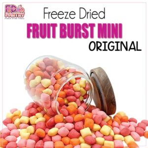 Freeze Dried Fruit Bursts Candy - Mini Original Hard Candy Mix 5oz Treat Snack Gift Bag Cherry, Strawberry, Lemon, Orange Candies Freeze-Dried Candies