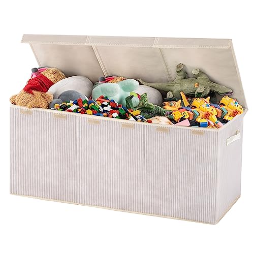 Apicizon Large Toy Box Storage Organizer