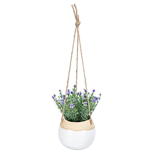 Chonsun Hanging Ceramic Planter 4 Inch Plant Pot Indoor Outdoor Planter Flower Pot Succulent Plant Pot Ceramic Mid-Century Planter Brown and White