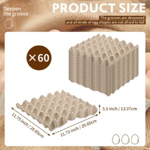 60 Pieces Egg Crates Bulk 30 Cell Egg Cartons Bulk Pulp Fiber Egg Cartons Reusable Paper Egg Container Empty Egg Tray Egg Holder for Farm Market Family Kitchen Storing Eggs