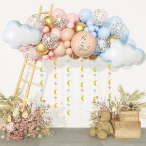 amandir 185pcs gender reveal decorations, double-stuffed pastel pink and blue brown nude balloon arch kit white cloud hanging moon&star garland boho neutral boy or girl bear baby shower party supplies