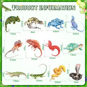 Reptile Birthday Party Supplies Reptile Swamp Happy Birthday Banner and 12 Pcs Reptile Hanging Swirls Safari Animals Lizard Snake Alligator Turtle Camping Wilderness Jungle Birthday Party Decorations