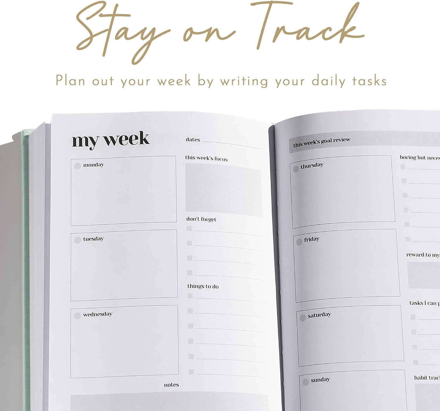 ADHD Planner for Adults: Focus and Productivity Planner - A planner for Neurodivergent Brains - Organization, Goal-Setting, and Time Management - Gift for Men and Women with ADHD