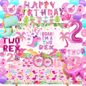 two rex birthday party decorations girl, pink dinosaur 2nd birthday party supplies, 2nd birthday party supplies girl,pink dinosaur birthday party supplies