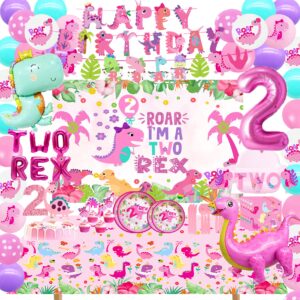 Two Rex Birthday Party Decorations Girl, Pink Dinosaur 2nd Birthday Party Supplies, 2nd Birthday Party Supplies Girl,Pink Dinosaur Birthday Party Supplies